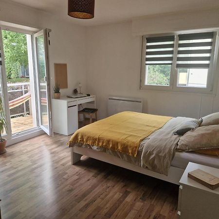 Robertsau Tres Bel Appartement Strasbourg Luaran gambar
