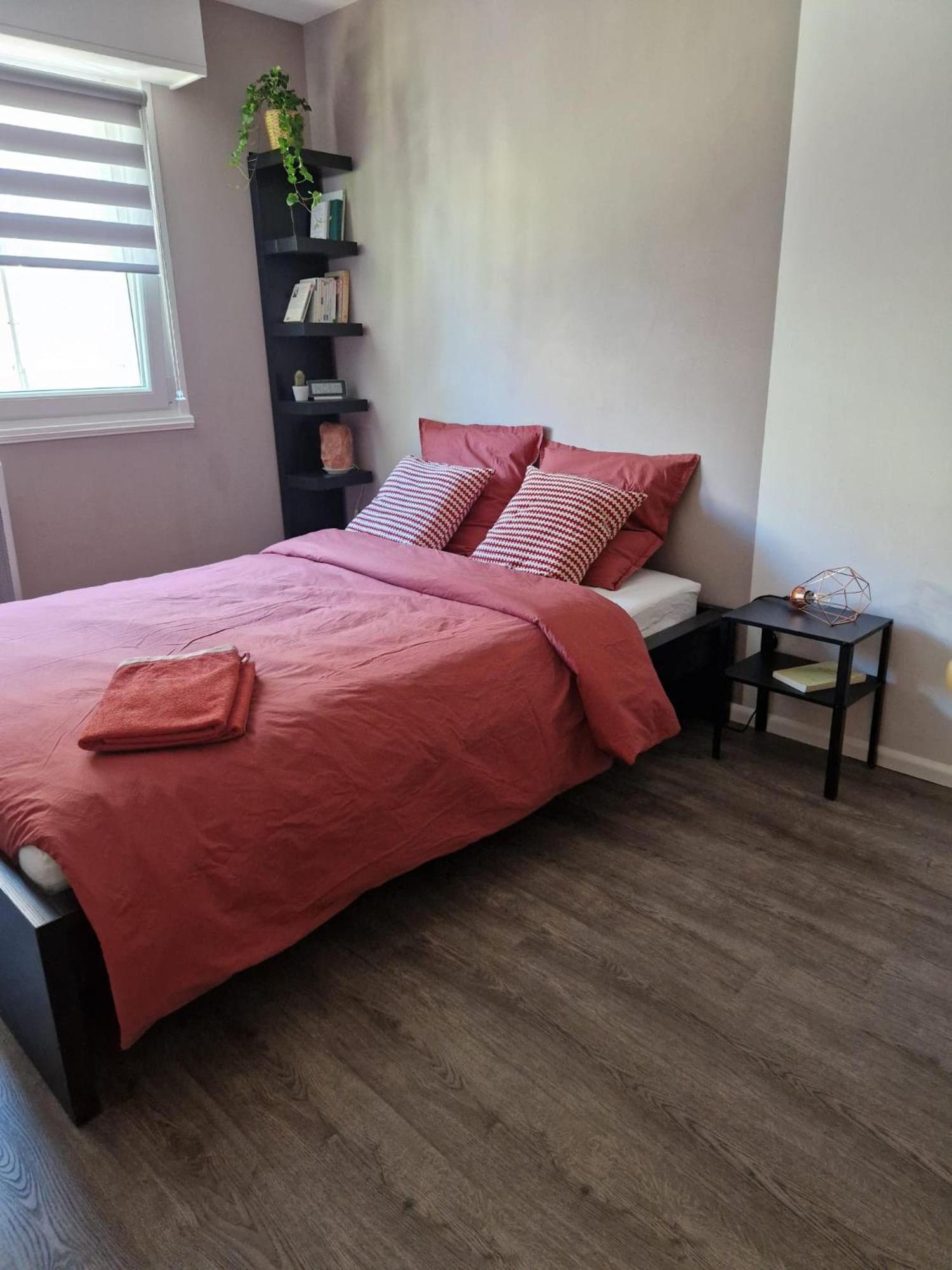 Robertsau Tres Bel Appartement Strasbourg Luaran gambar